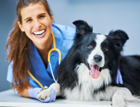 IAA – Corso Base per Medici Veterinari