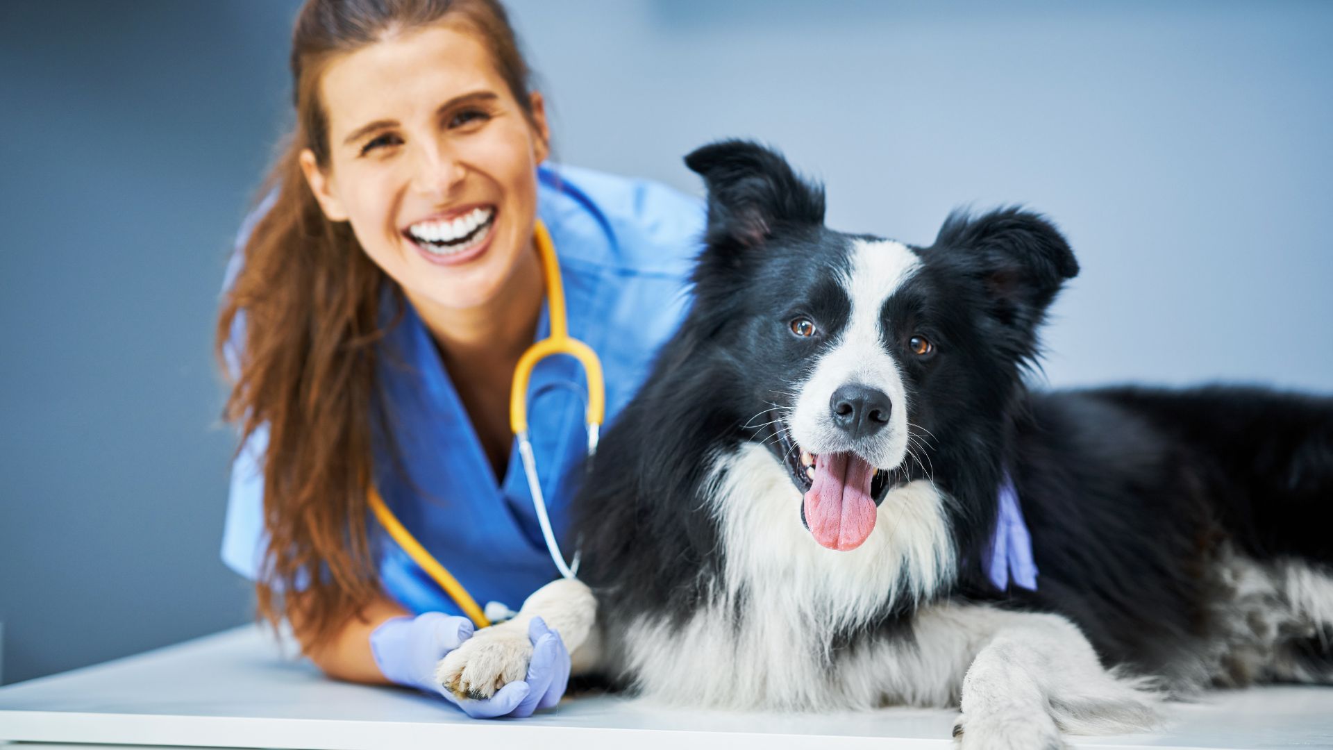 IAA – Corso Base per Medici Veterinari